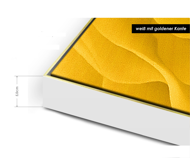Floater Frames Slim - White/Gold – XXL